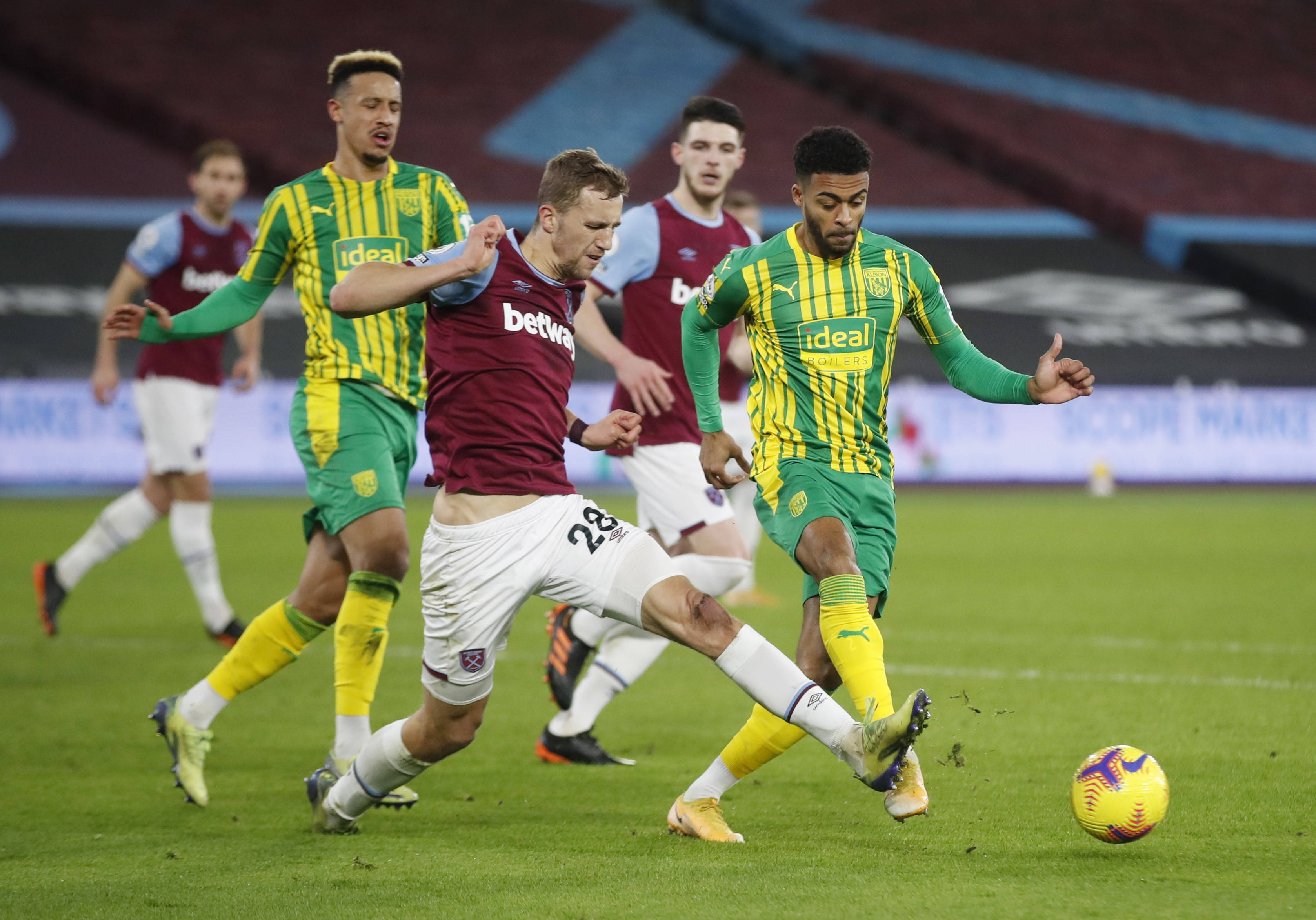 育组织的嘉 育组织的嘉